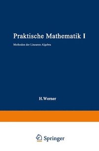 bokomslag Praktische Mathematik I