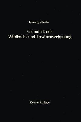 Grundri der Wildbach- und Lawinenverbauung 1