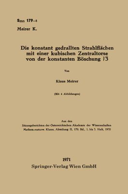 bokomslag Die konstant gedrallten Strahlflchen mit einer kubischen Zentraltorse von der konstanten Bschung &#8730;3