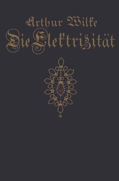 bokomslag Die Elektrizität