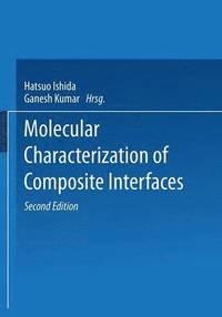 bokomslag Molecular Characterization of Composite Interfaces
