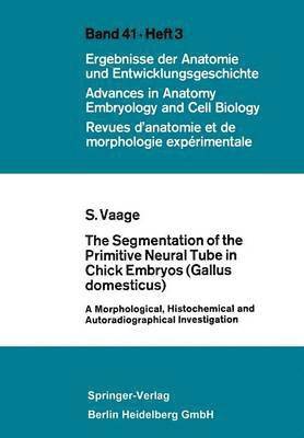 bokomslag The Segmentation of the Primitive Neural Tube in Chick Embryos (Gallus domesticus)