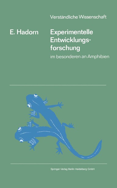 bokomslag Experimentelle Entwicklungsforschung