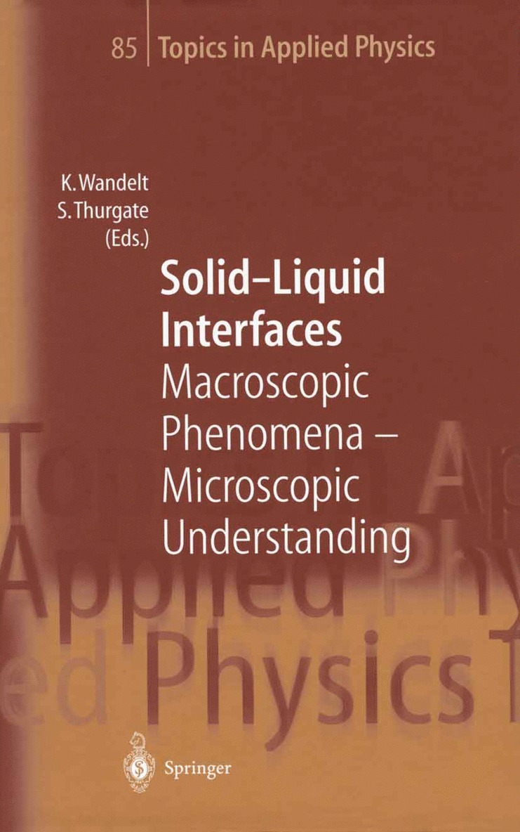Klaus Wandelt, Stephen Thurgate - Solid-Liquid Interfaces, Häftad