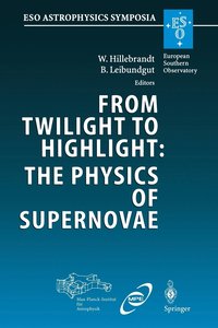 bokomslag From Twilight to Highlight: The Physics of Supernovae