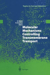 bokomslag Molecular Mechanisms Controlling Transmembrane Transport