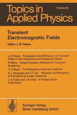 Transient Electromagnetic Fields 1