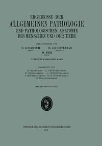 bokomslag Ergebnisse der allgemeinen Pathologie und pathologischen Anatomie
