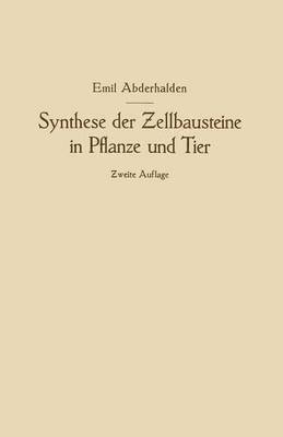 bokomslag Synthese der Zellbausteine in Pflanze und Tier