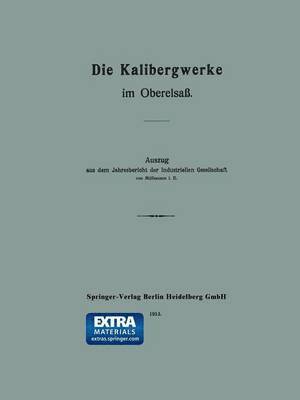 bokomslag Die Kalibergwerke im Oberelsaß