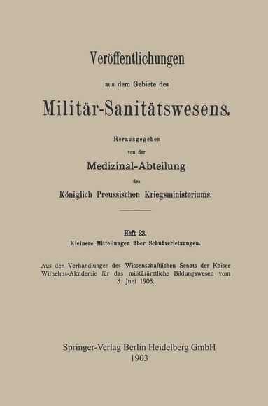 Kenneth A Loparo, Springer - Kleinere Mitteilungen über Schussverletzungen, Häftad