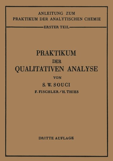 bokomslag Praktikum der qualitativen Analyse