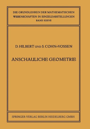 bokomslag Anschauliche Geometrie