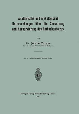 bokomslag Anatomische und mykologische Untersuchungen ber die Zersetzung und Konservierung des Rotbuchenholzes