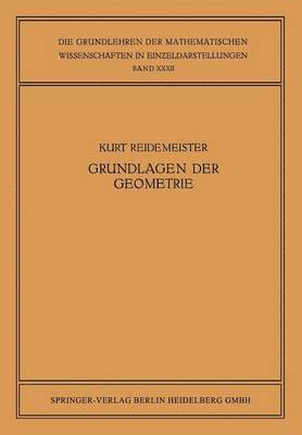 bokomslag Vorlesungen über Grundlagen der Geometrie
