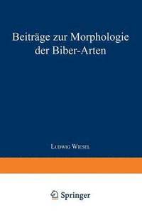 bokomslag Beiträge zur Morphologie der Biber-Arten