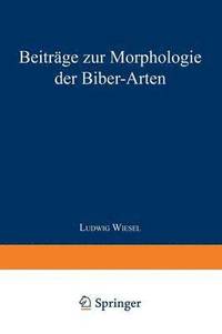 bokomslag Beitrage zur Morphologie der Biber-Arten