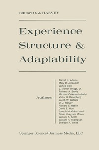 bokomslag Experience Structure & Adaptability