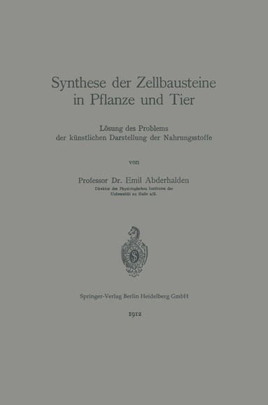 bokomslag Synthese der Zellbausteine in Pflanze und Tier