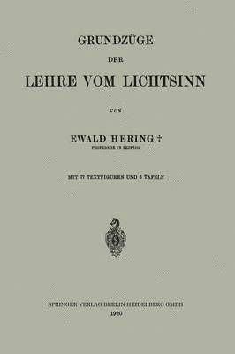 Ewald Hering - Grundzüge der Lehre vom Lichtsinn, Häftad