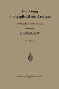 bokomslag Der Gang der qualitativen analyse