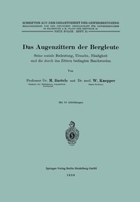 bokomslag Das Augenzittern der Bergleute