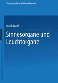 bokomslag Sinnesorgane und Leuchtorgane