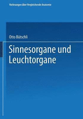 bokomslag Sinnesorgane und Leuchtorgane