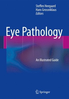 bokomslag Eye Pathology