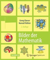 bokomslag Bilder der Mathematik