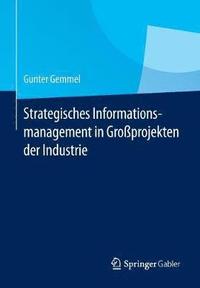 bokomslag Strategisches Informationsmanagement in Groprojekten der Industrie