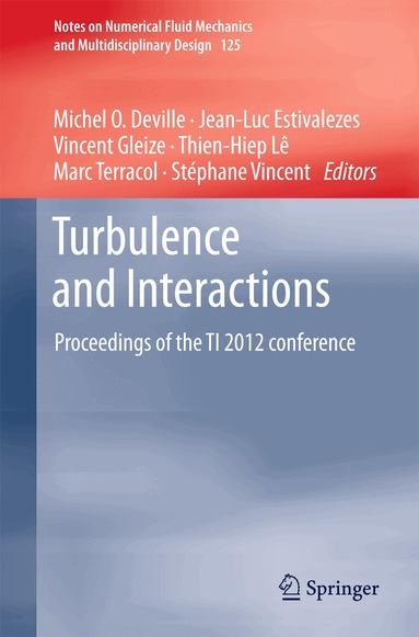 Michel O. Deville, Jean-Luc Estivalezes, Vincent Gleize, Thien-Hiep Lê, Marc Terracol, Stéphane Vincent - Turbulence and Interactions, Inbunden
