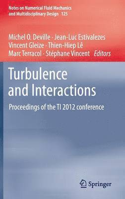 bokomslag Turbulence and Interactions