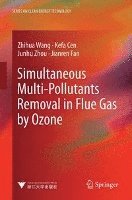 bokomslag Simultaneous Multi-Pollutants Removal in Flue Gas by Ozone