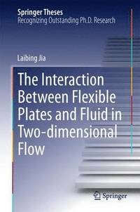bokomslag The Interaction Between Flexible Plates and Fluid in Two-dimensional Flow
