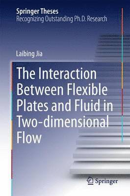 The Interaction Between Flexible Plates and Fluid in Two-dimensional Flow 1