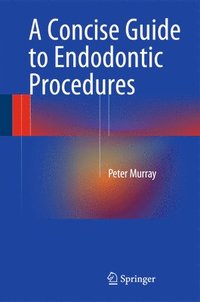 bokomslag A Concise Guide to Endodontic Procedures