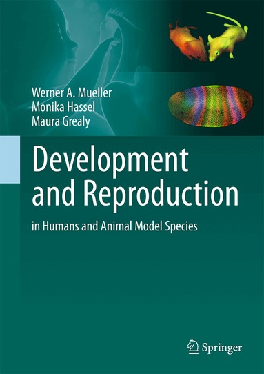 Werner A. Mueller, Monika Hassel, Maura Grealy - Development and Reproduction in Humans and Animal Model Species, Inbunden