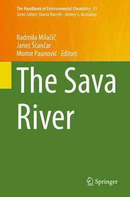 The Sava River 1