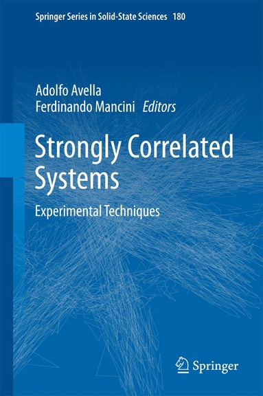 Adolfo Avella, Ferdinando Mancini - Strongly Correlated Systems, Inbunden