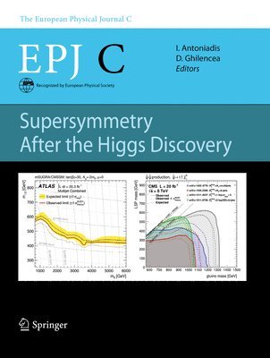 bokomslag Supersymmetry After the Higgs Discovery