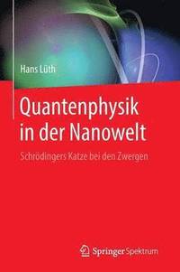 bokomslag Quantenphysik in der Nanowelt