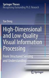 bokomslag High-Dimensional and Low-Quality Visual Information Processing