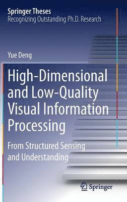 bokomslag High-Dimensional and Low-Quality Visual Information Processing