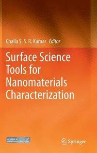 bokomslag Surface Science Tools for Nanomaterials Characterization