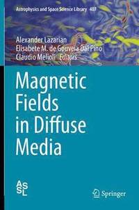 bokomslag Magnetic Fields in Diffuse Media
