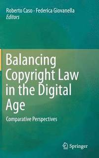 bokomslag Balancing Copyright Law in the Digital Age