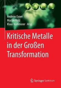 bokomslag Kritische Metalle in der Groen Transformation