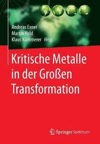 bokomslag Kritische Metalle in der Großen Transformation