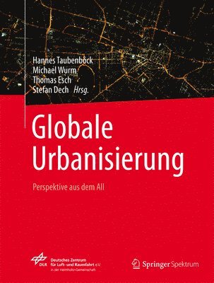 bokomslag Globale Urbanisierung